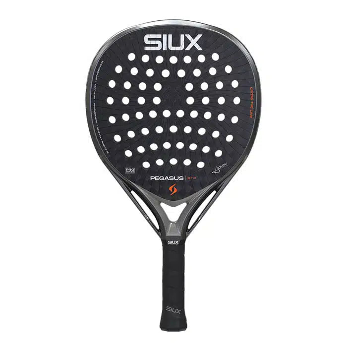 PEGASUS PRO 2026 STORM GREY
