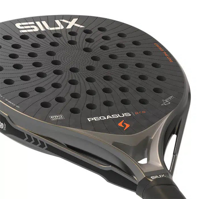 PEGASUS PRO 2026 STORM GREY