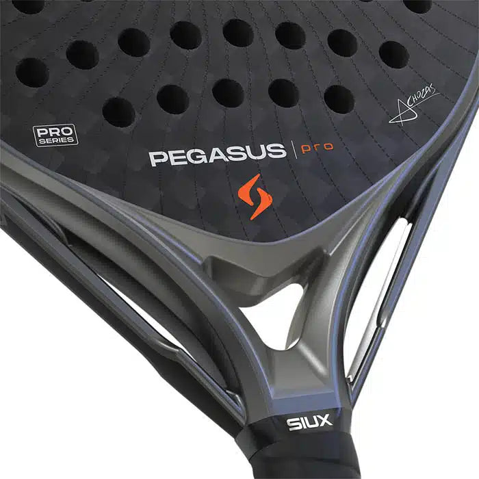 PEGASUS PRO 2026 STORM GREY